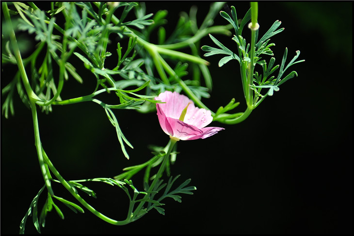 DSC_0541.jpg