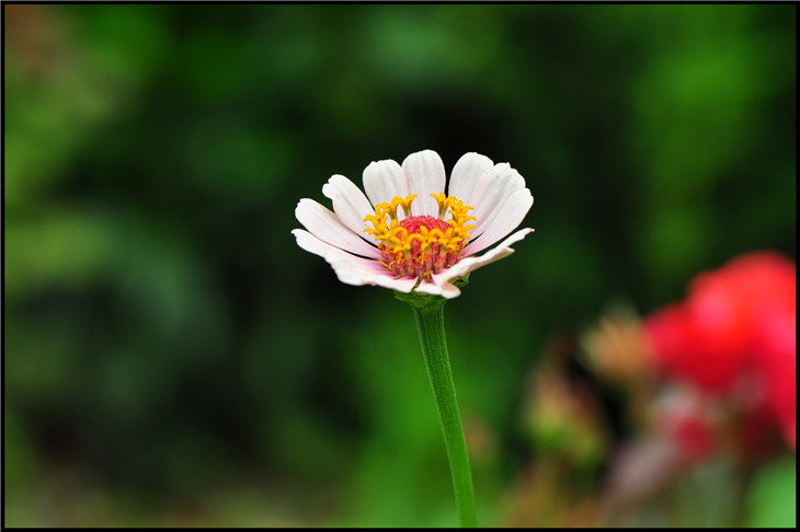 DSC_0355.jpg