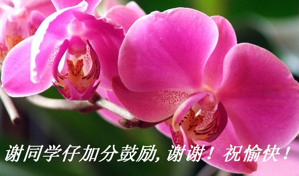 лͬѧмӷֹ,ллף죡.JPG