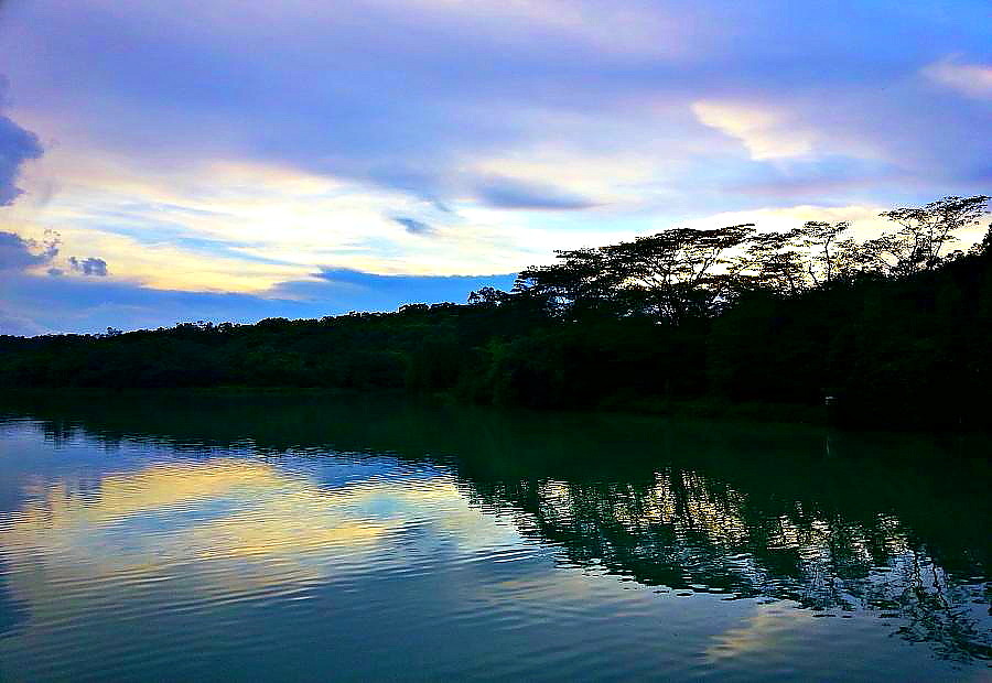 20140727_185748.jpg