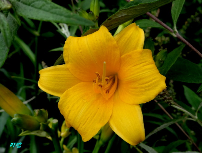 DSC02302m.jpg
