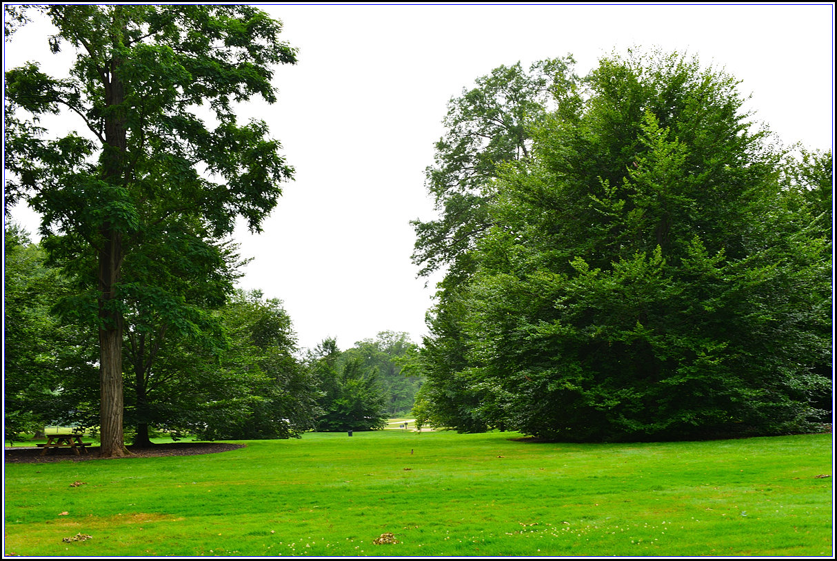 DSC_1761_.jpg