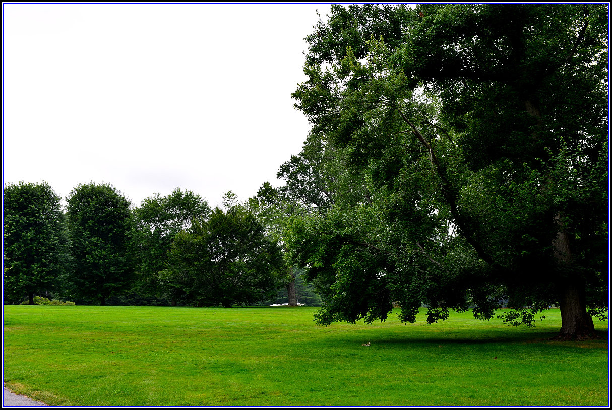 DSC_1764_.jpg