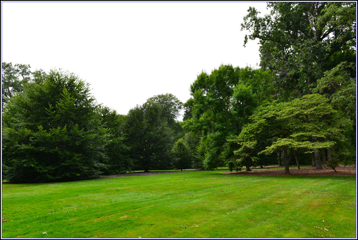 DSC_1762_.jpg