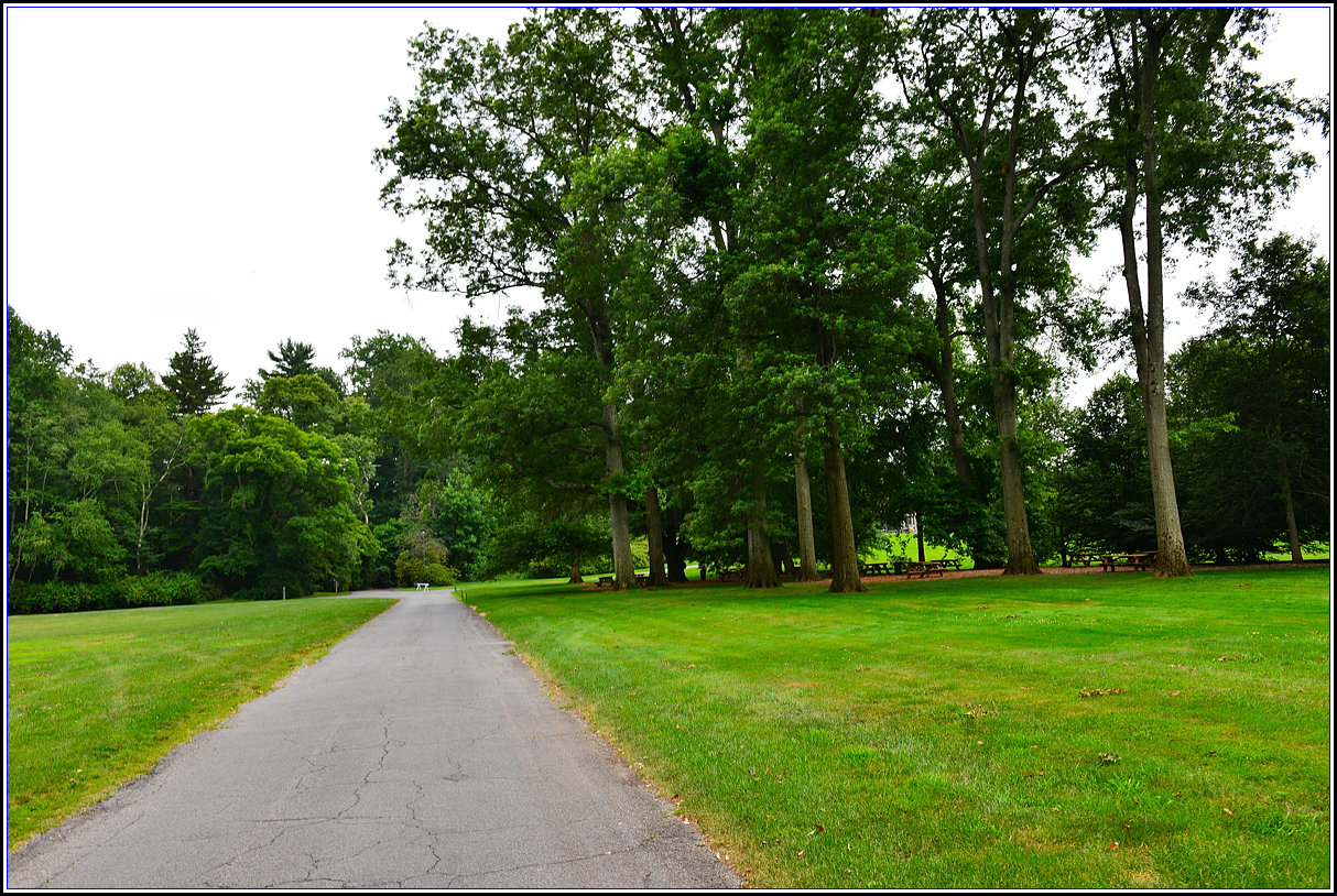 DSC_1759_.jpg