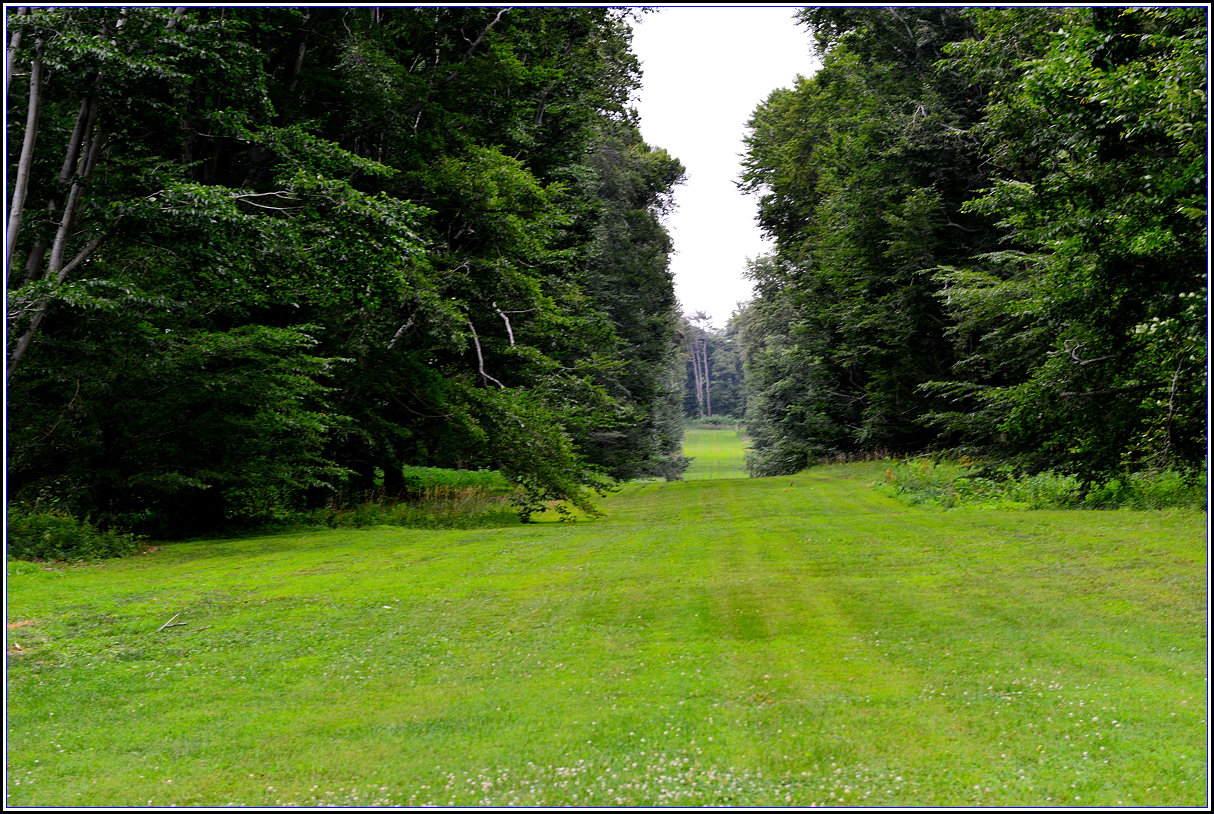 DSC_1757_.jpg