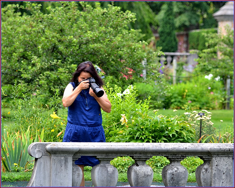 DSC_6245_.jpg