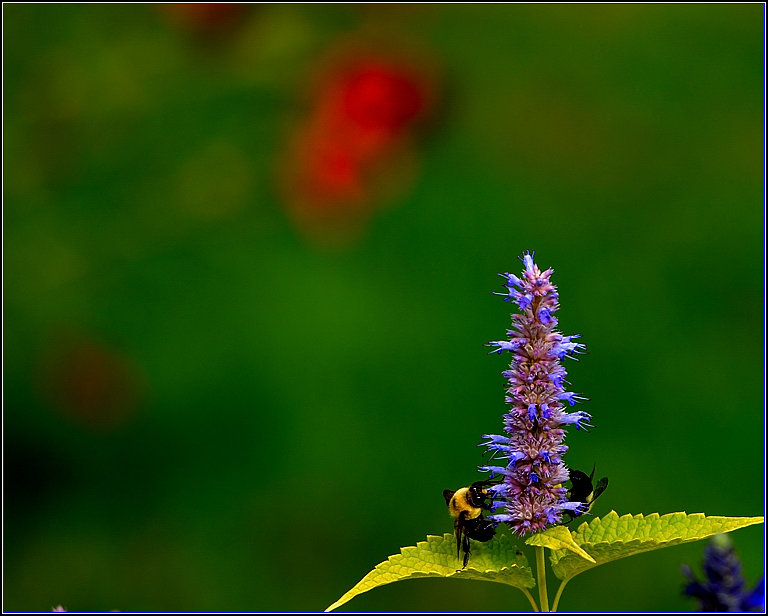 DSC_6224_.jpg