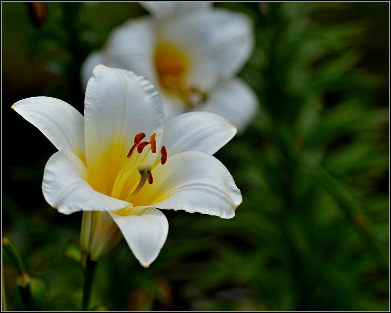 DSC_6232_.jpg