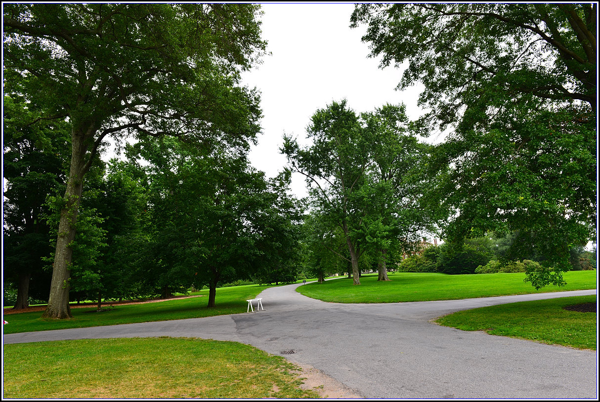 DSC_1754_.jpg