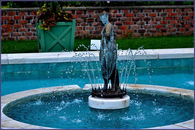 DSC_6322_.jpg