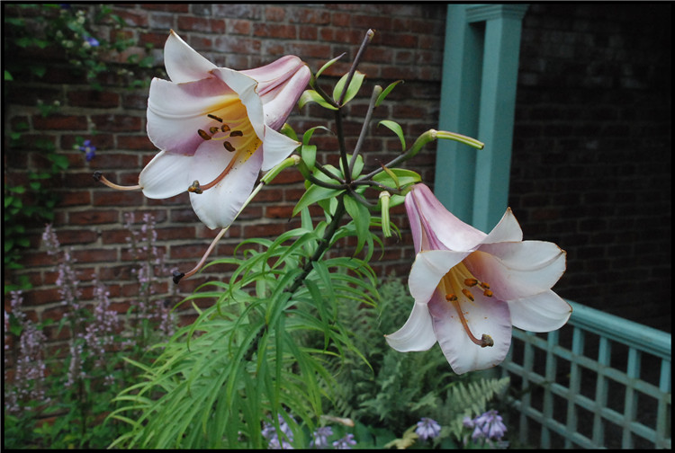 DSC_0218.jpg