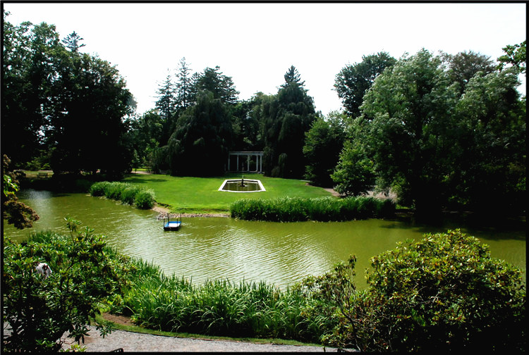 DSC_0128_.jpg