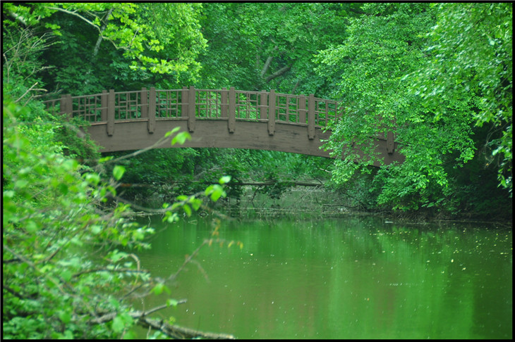 DSC_0117.jpg