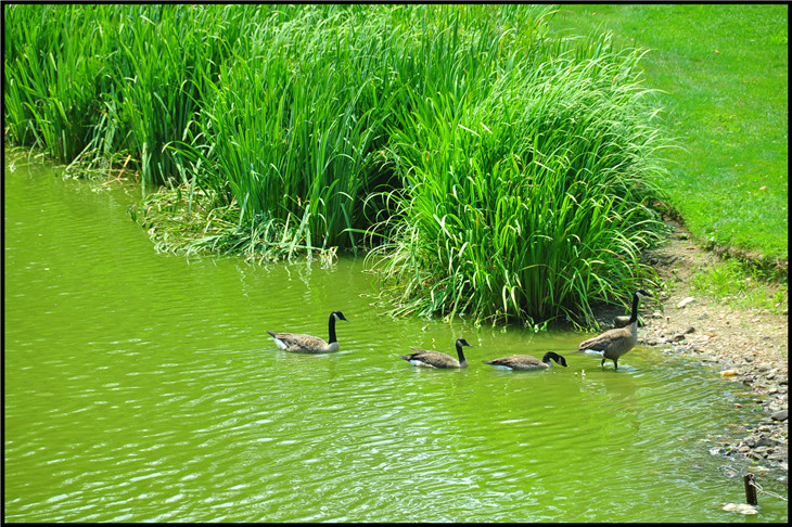 DSC_0863.jpg
