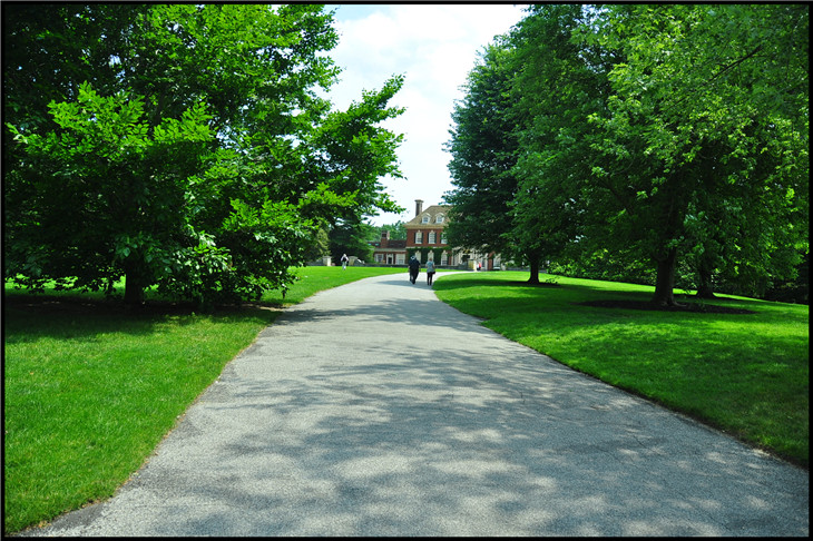 DSC_0843.jpg