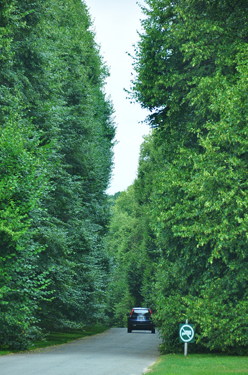 DSC_0166_.jpg