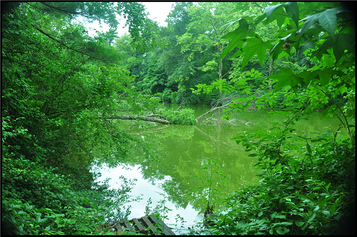 DSC_0115.jpg