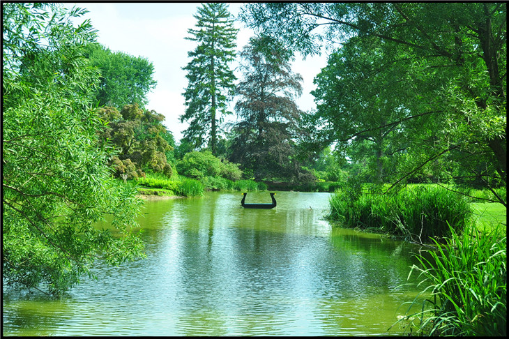 DSC_0956.jpg