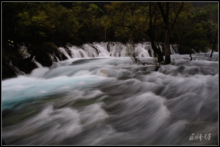 DSC_1207.jpg