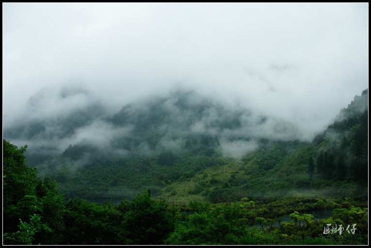 DSC_1190.jpg