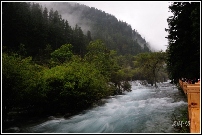 DSC_1206.jpg