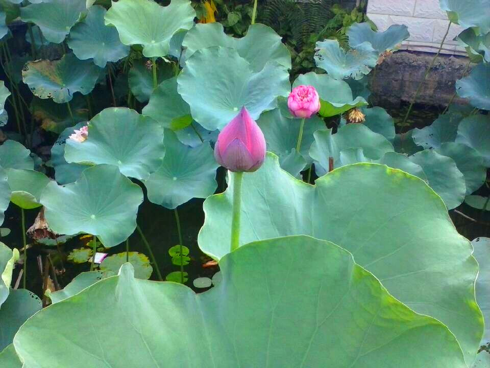 20140630233018.jpg