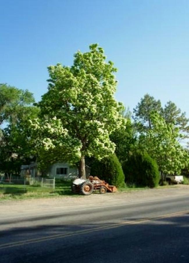 IMG_6418.JPG