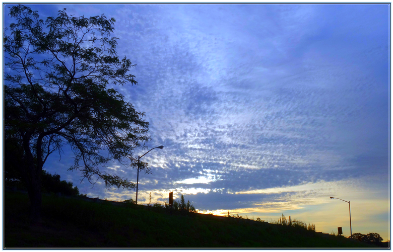 DSC06342_.jpg