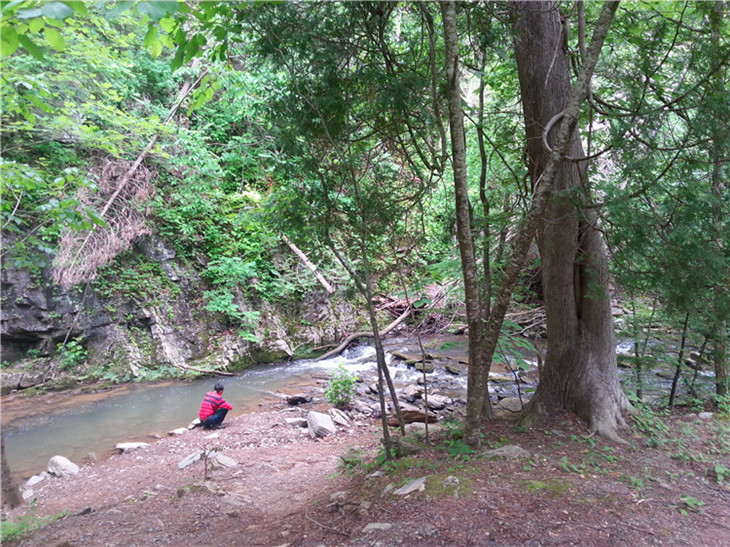 20140529_205730.jpg