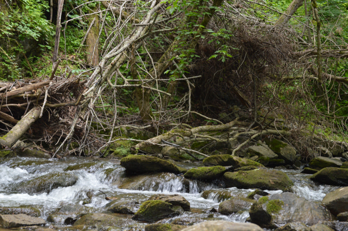 DSC_0365.JPG