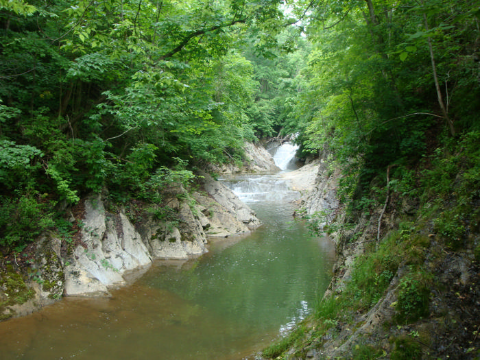 DSC07571.JPG