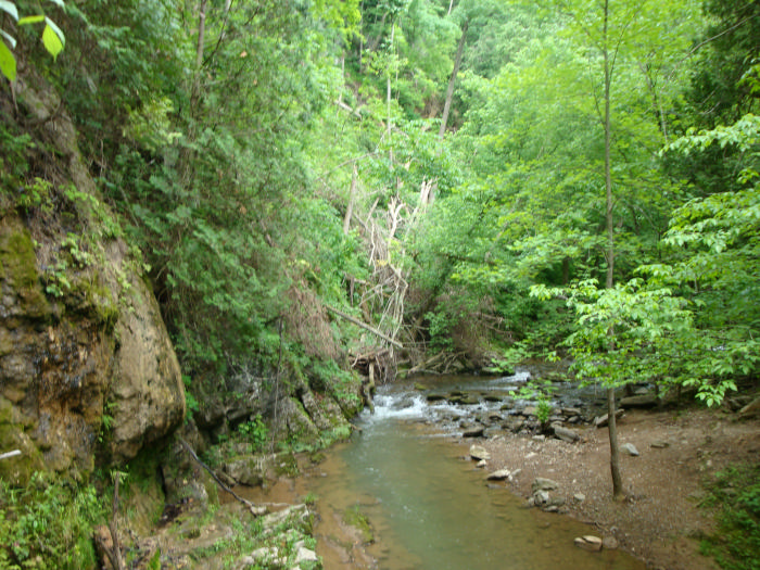 DSC07542.JPG
