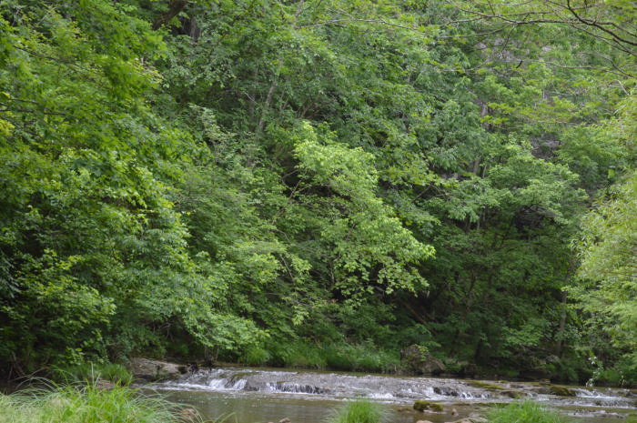 DSC_0361.JPG