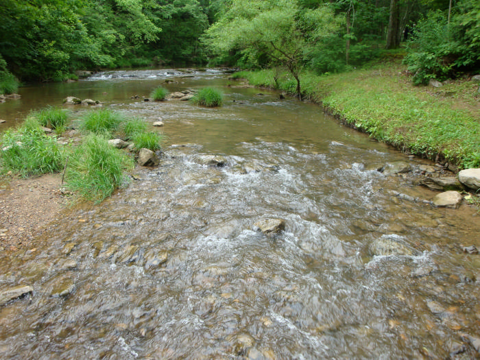 DSC07539.JPG