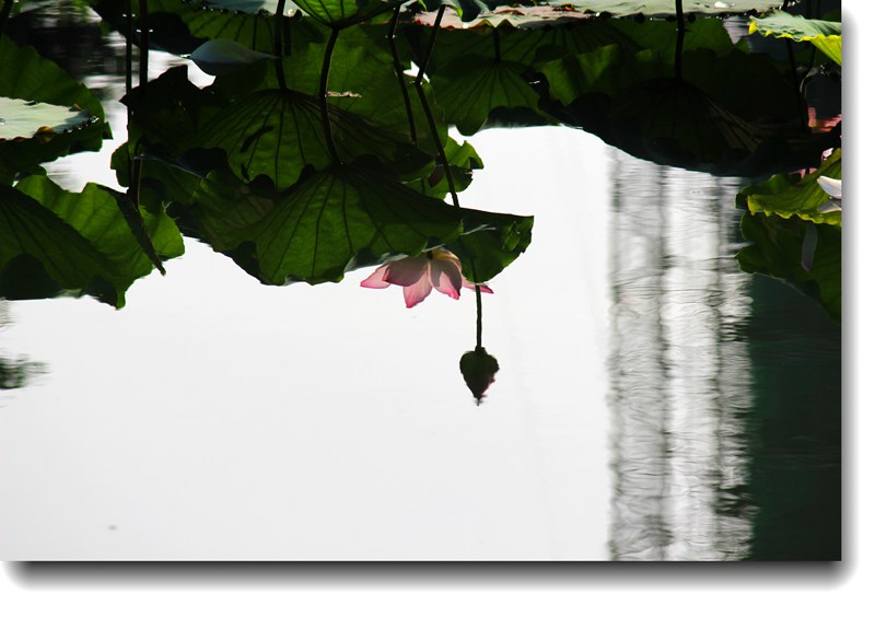 IMG_6767_.jpg