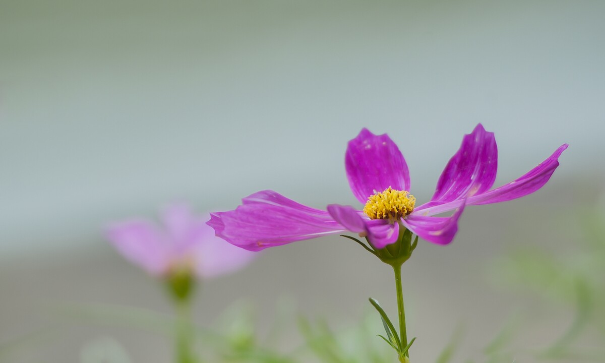 QQͼƬ20140616100029.jpg