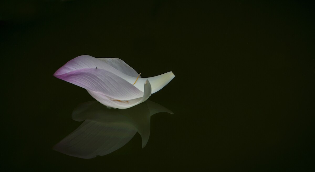 QQͼƬ20140615102758.jpg