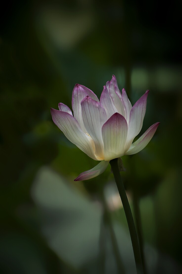 QQͼƬ20140612163957.jpg