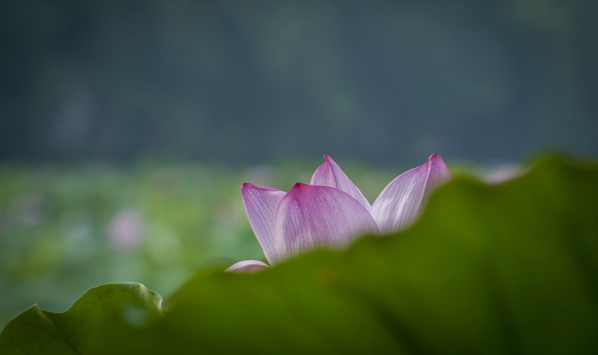 QQ图片20140715144956.jpg