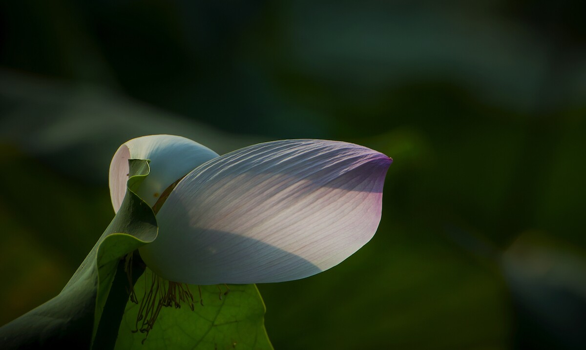 QQͼƬ20140613165557.jpg