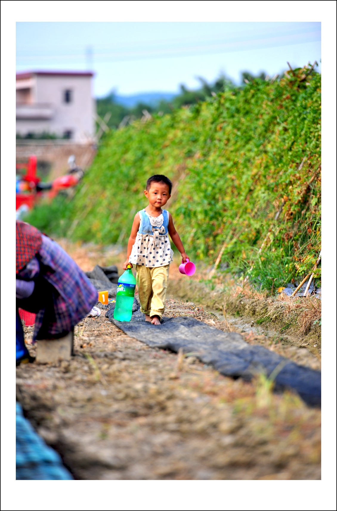 DSC_2256_conew1.jpg
