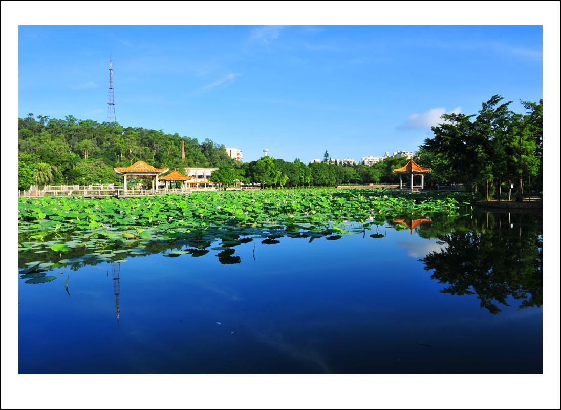 DSC_7272_conew1.jpg