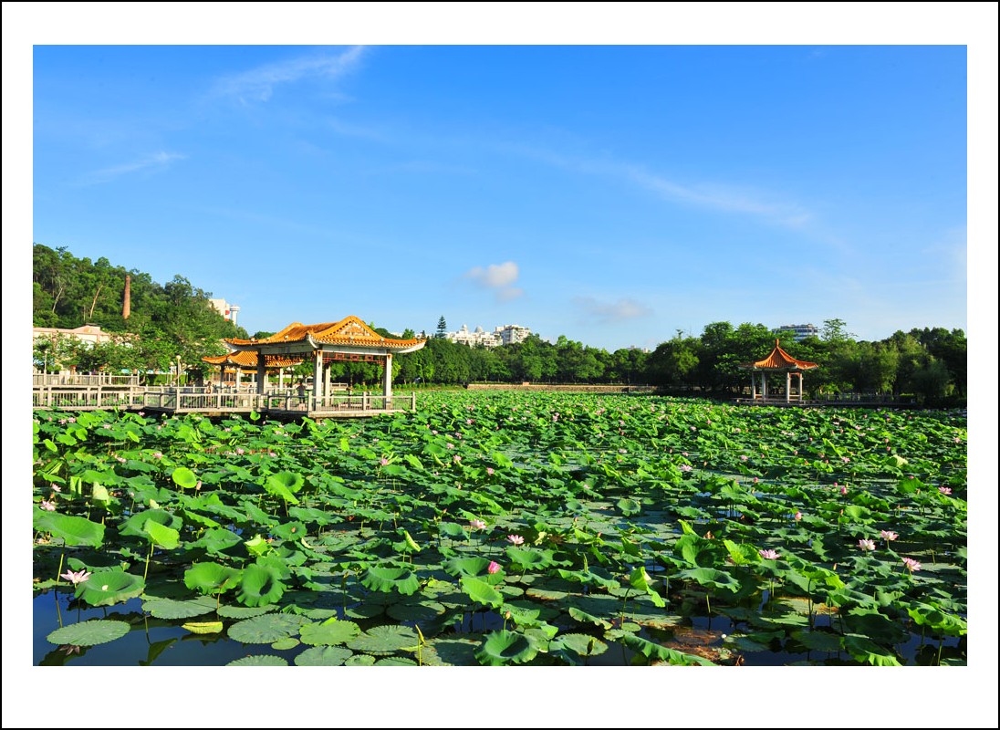 DSC_7269_conew1.jpg