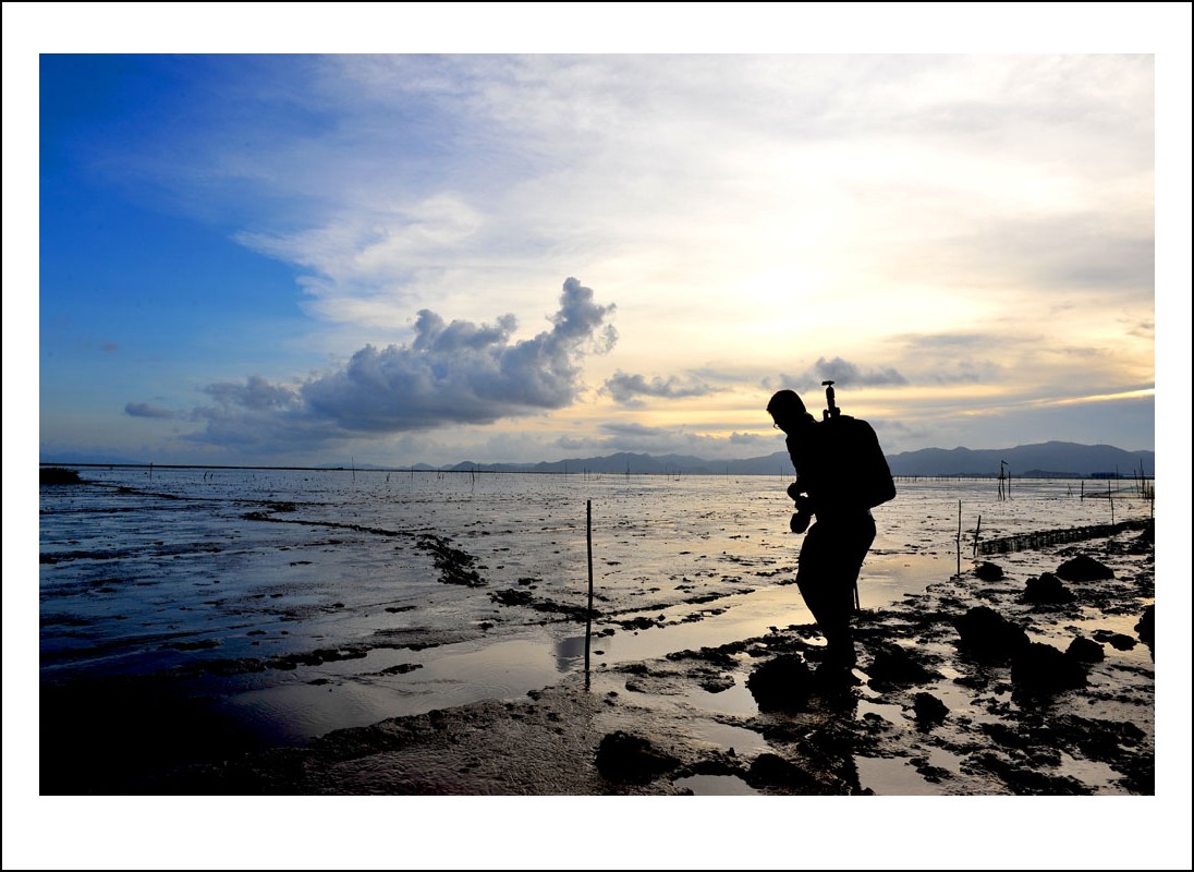 DSC_8164_conew1.jpg