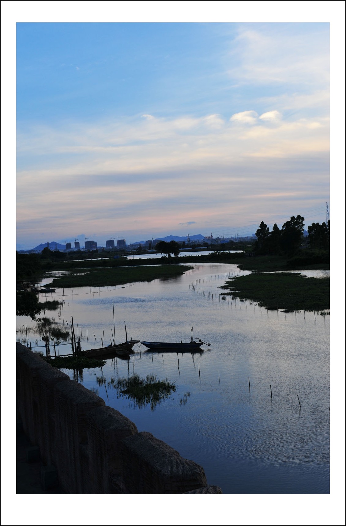 DSC_4566_conew1.jpg