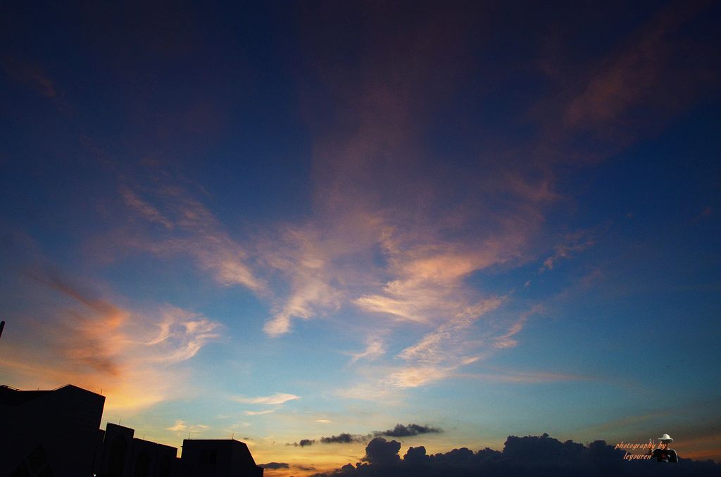 DSC_1447.JPG