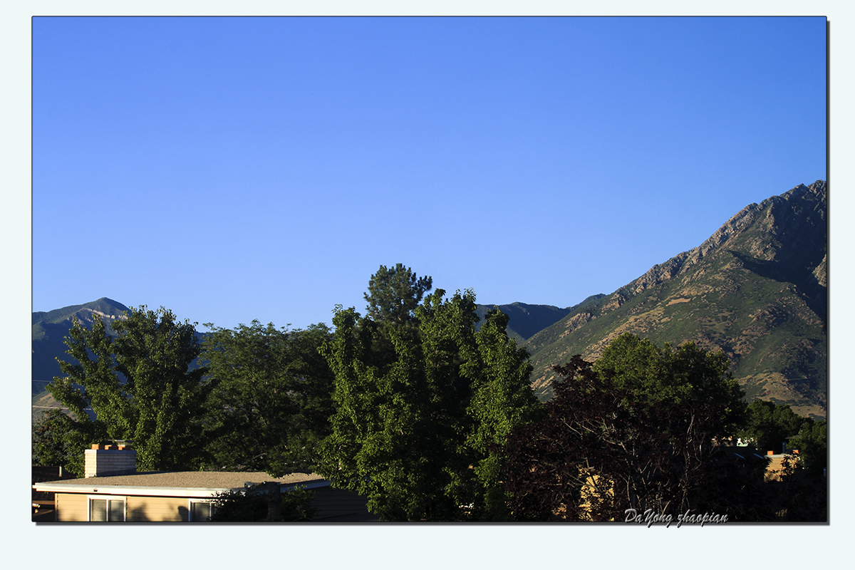 IMG_9084-A.jpg
