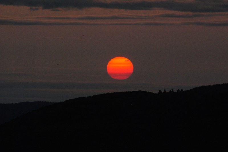 DSC_0167.JPG
