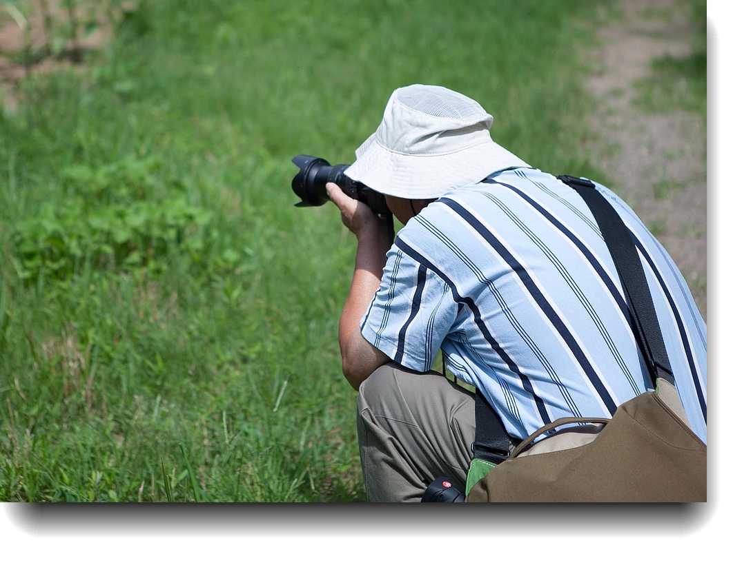 IMG_6962a.jpg